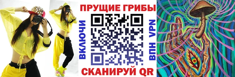 blacksprut зеркало  Аркадак  Галлюциногенные грибы Magic Shrooms 